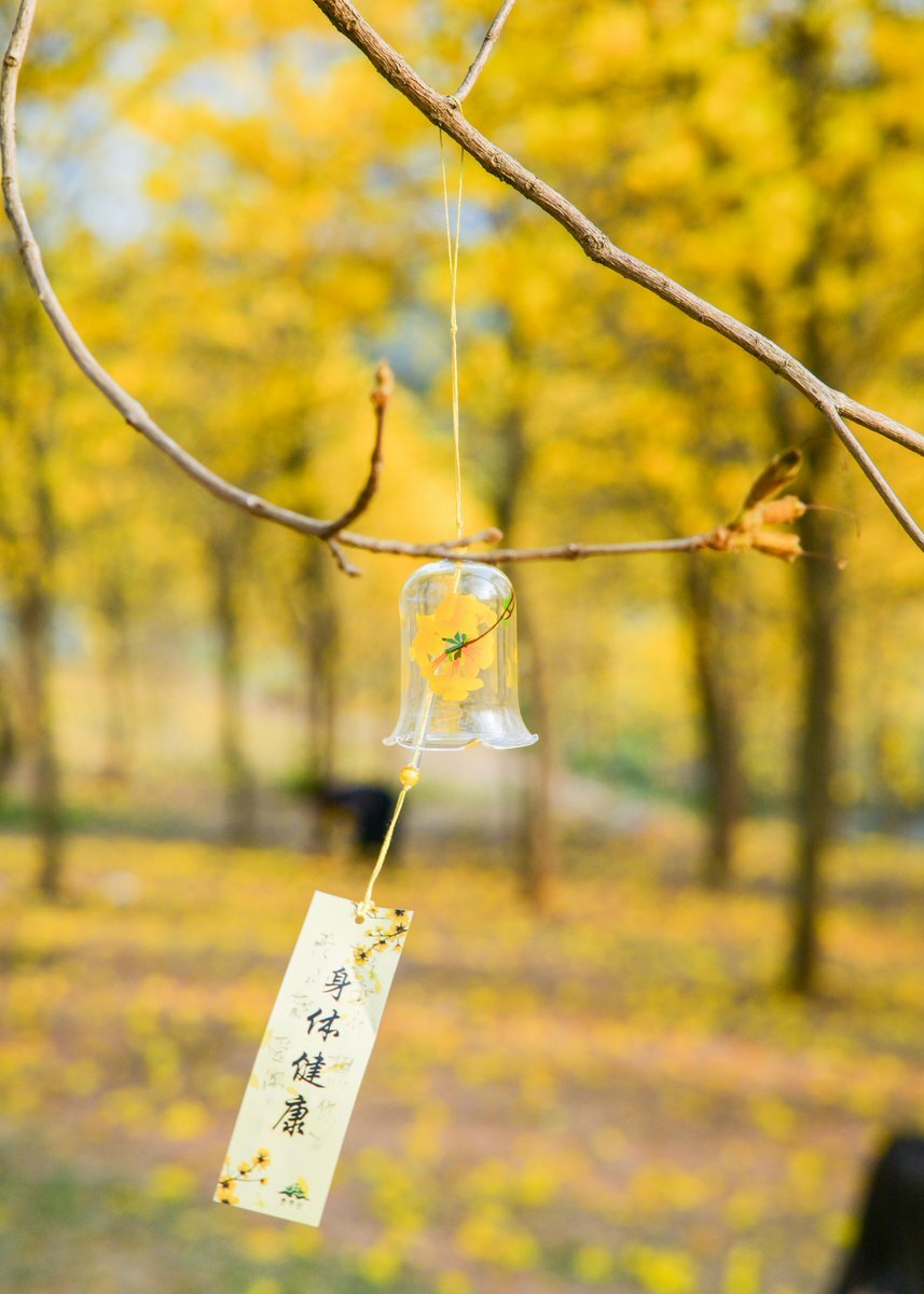 人気声優 小宮有紗＆新田恵海、事務所退所を発表！今後の活動に期待 