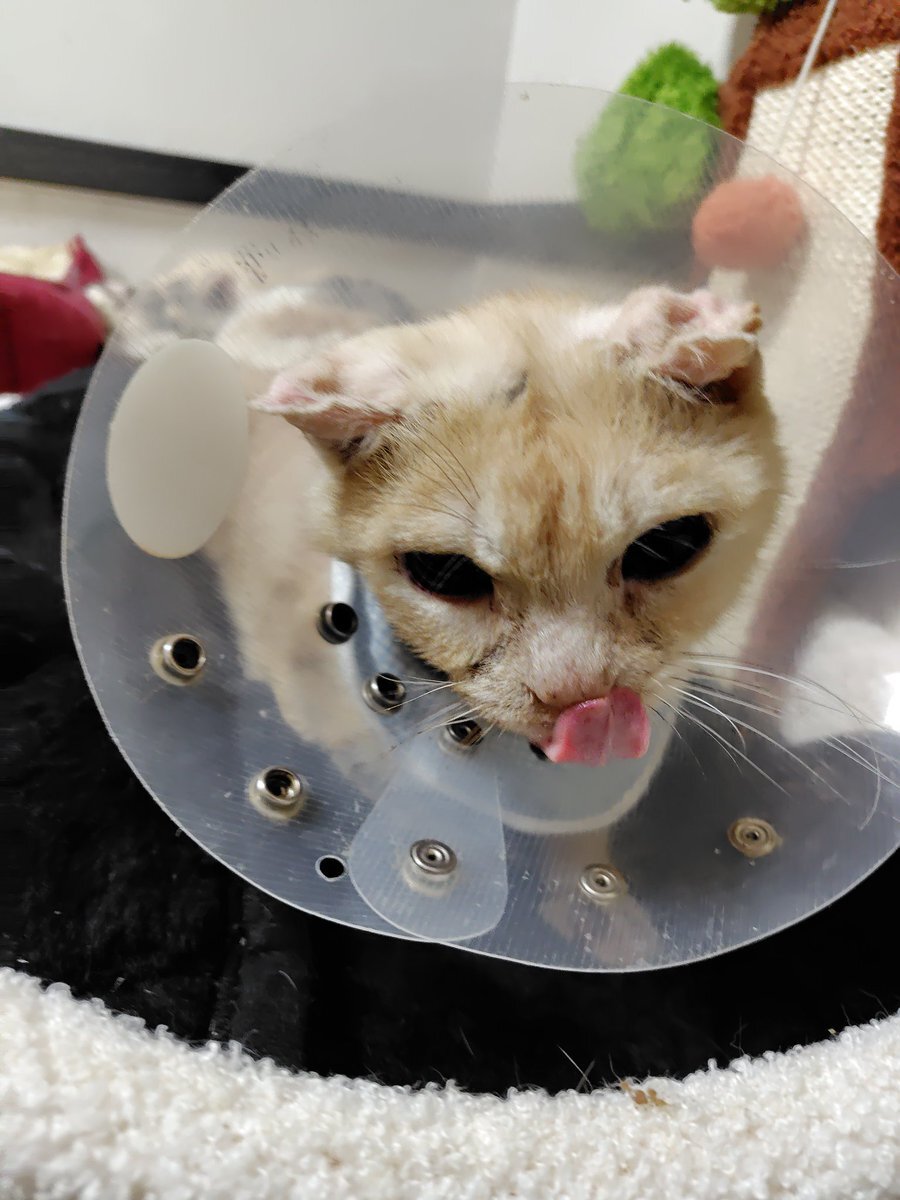 SNSユーザーが喜びを分かち合う投稿が話題に