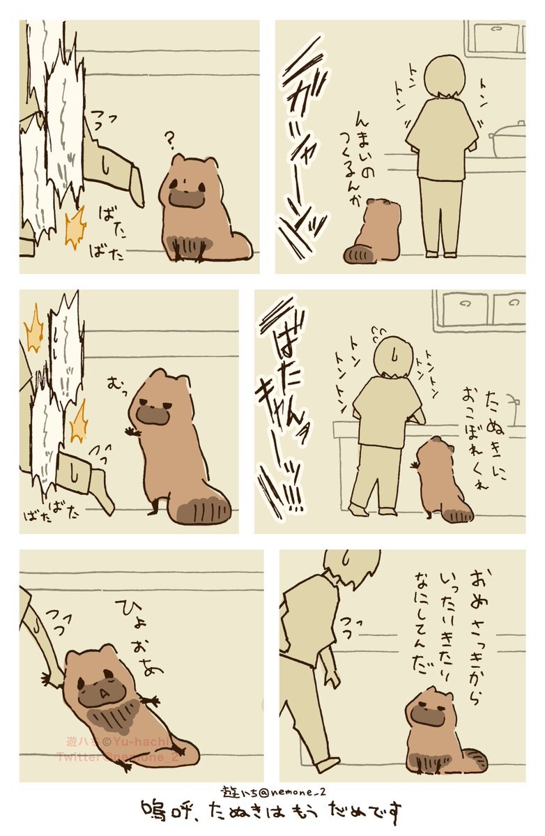 たぬき」のYahoo!リアルタイム検索 - X（旧Twitter）を