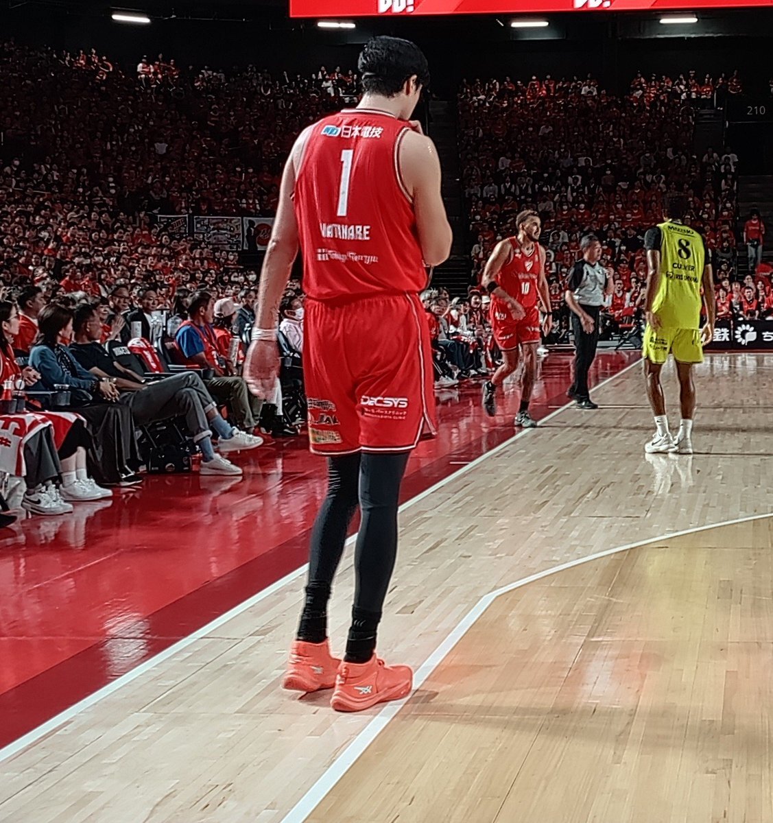 渡邊雄太選手着用】ASICS アシックス ノヴァサージ3 28cm