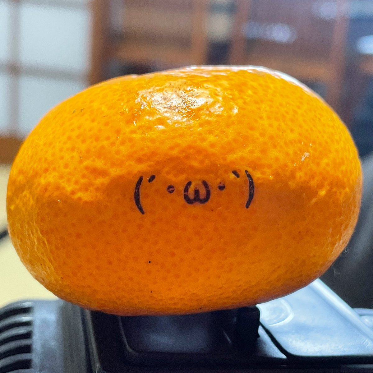 しょぼん のtwitter検索結果 Yahoo リアルタイム検索