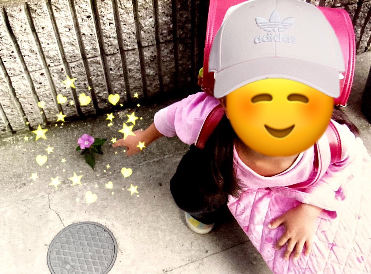 ど根性アサガオ のtwitter検索結果 Yahoo リアルタイム検索