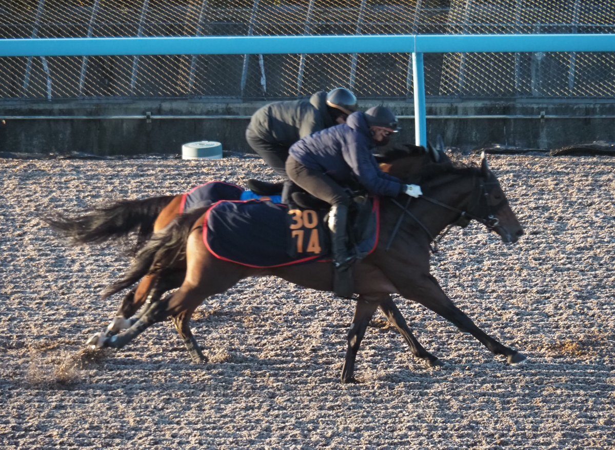 ヴァロアーク、ルメール騎手との初コンビでデビュー！
