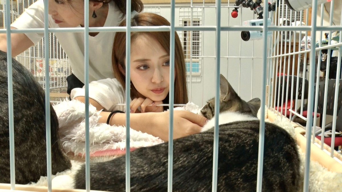 みりちゃむ、保護猫の譲渡会で愛情深い判断に称賛の声