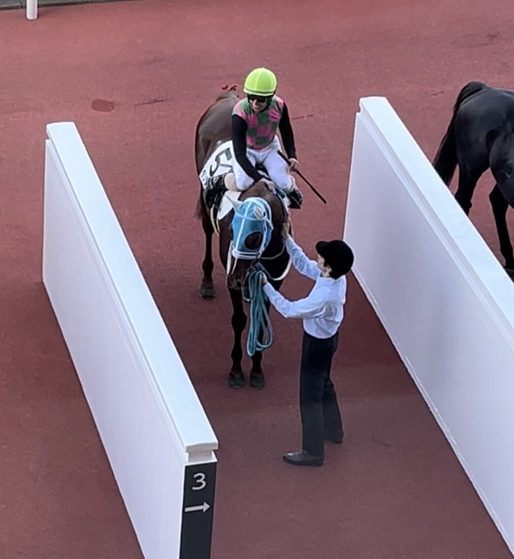 ダンツエスプリ、阪神8Rで3着！ 1年ぶりの馬券内入着に歓喜