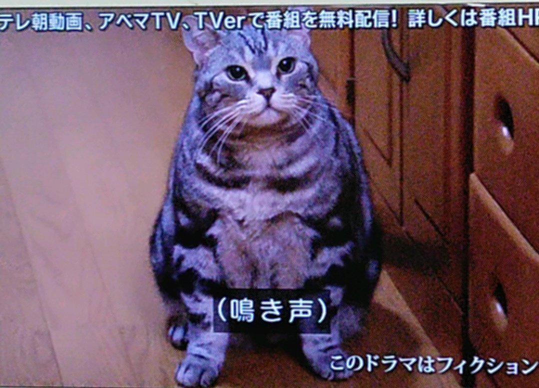 ビビ 捜査一課長 のtwitter検索結果 Yahoo リアルタイム検索