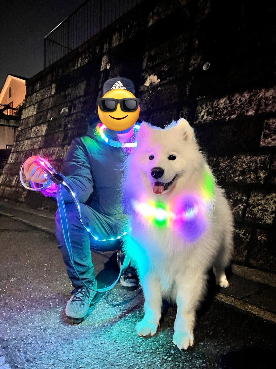 remiyoulove バカ女王 remi」のYahoo!リアルタイム検索 - X（旧Twitter）をリアルタイム検索