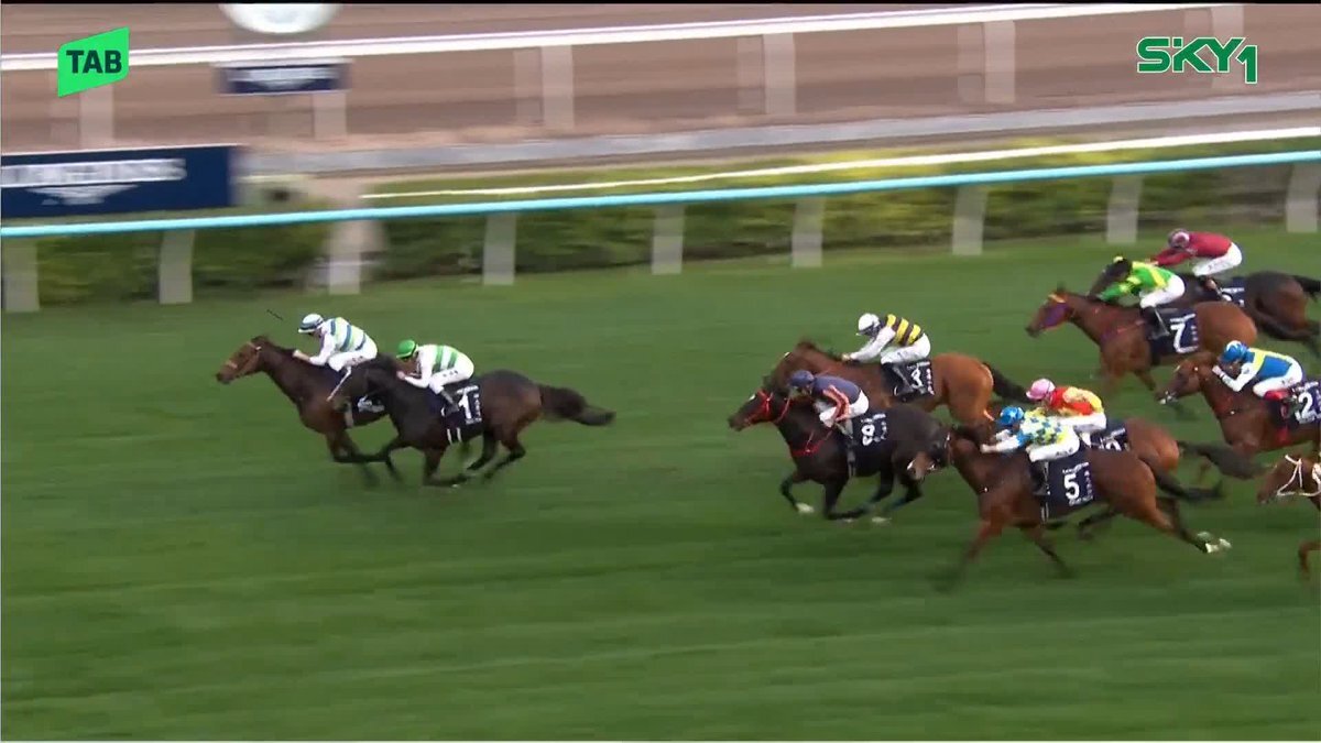 ソウルラッシュ、香港マイルで惜敗！引退レースに多くのファンが涙