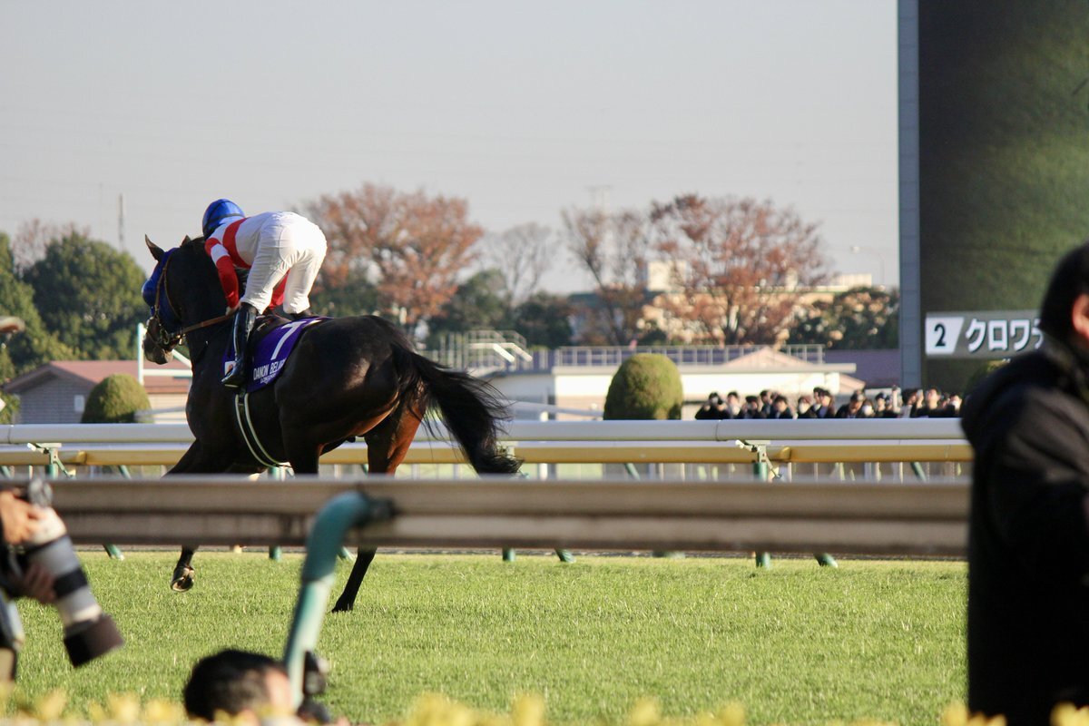 最強世代のダービー人気馬ダノンベルーガ、東京競馬場で乗馬へ