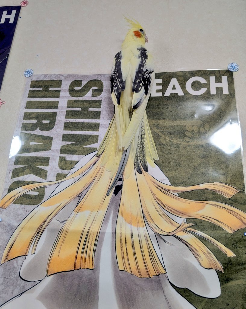 シンクロフェローズ」のYahoo!リアルタイム検索 - X（旧Twitter）を