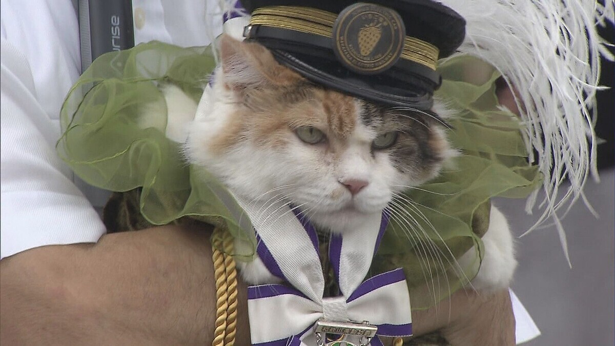 和歌山電鐵のニタマ駅長、永眠へ　ファンから惜しむ声