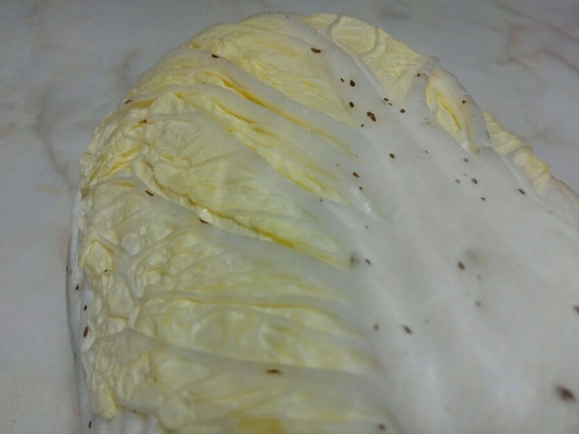 白菜の黒い斑点、ポリフェノールで安心！ 