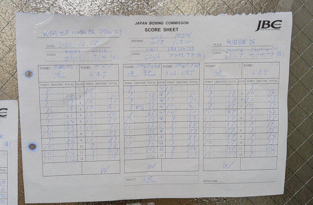 堤ドネア戦！熱狂の試合にファン興奮！判定に疑問の声も