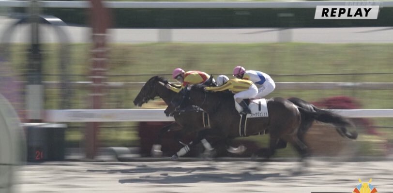 ジャスティンルマン、ダートで勝利！その走りは？