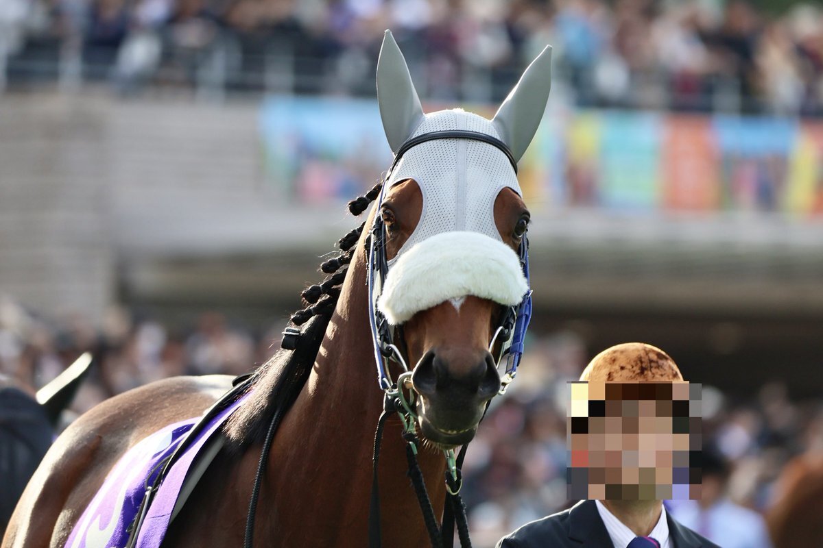 メイショウタバル カメラ目線」のYahoo!リアルタイム検索 - X（旧