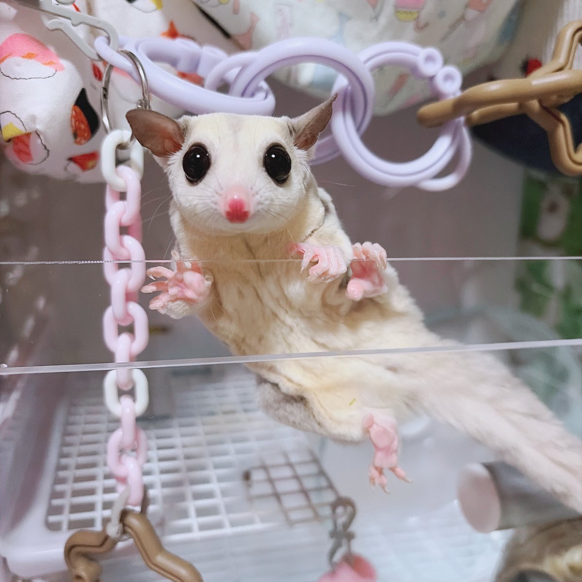 あむあむ」のYahoo!リアルタイム検索 - X（旧Twitter）をリアルタイム検索