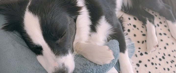 X（旧Twitter）で話題のおもしろ画像や動画 - Yahoo