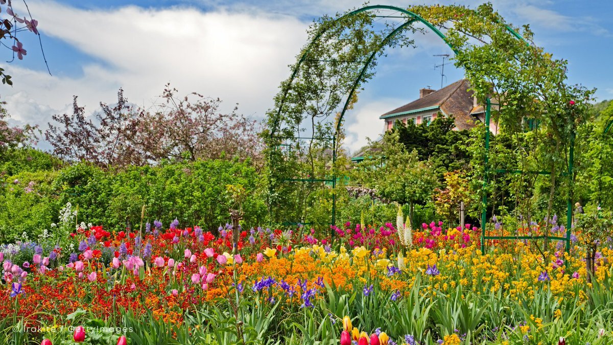 モネの誕生日、SNSで話題に