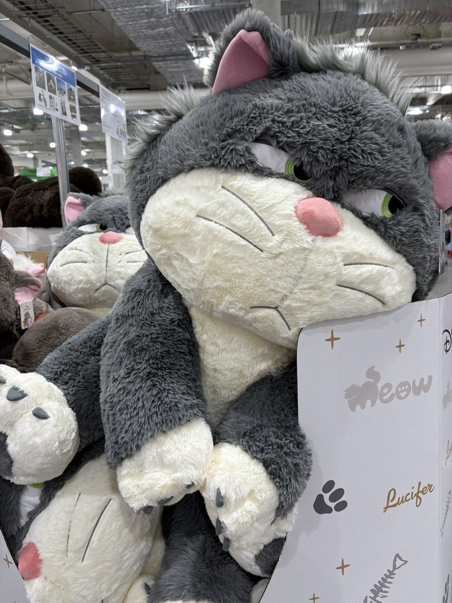 コストコ スティッチ ぬいぐるみ」のYahoo!リアルタイム検索 - X（旧