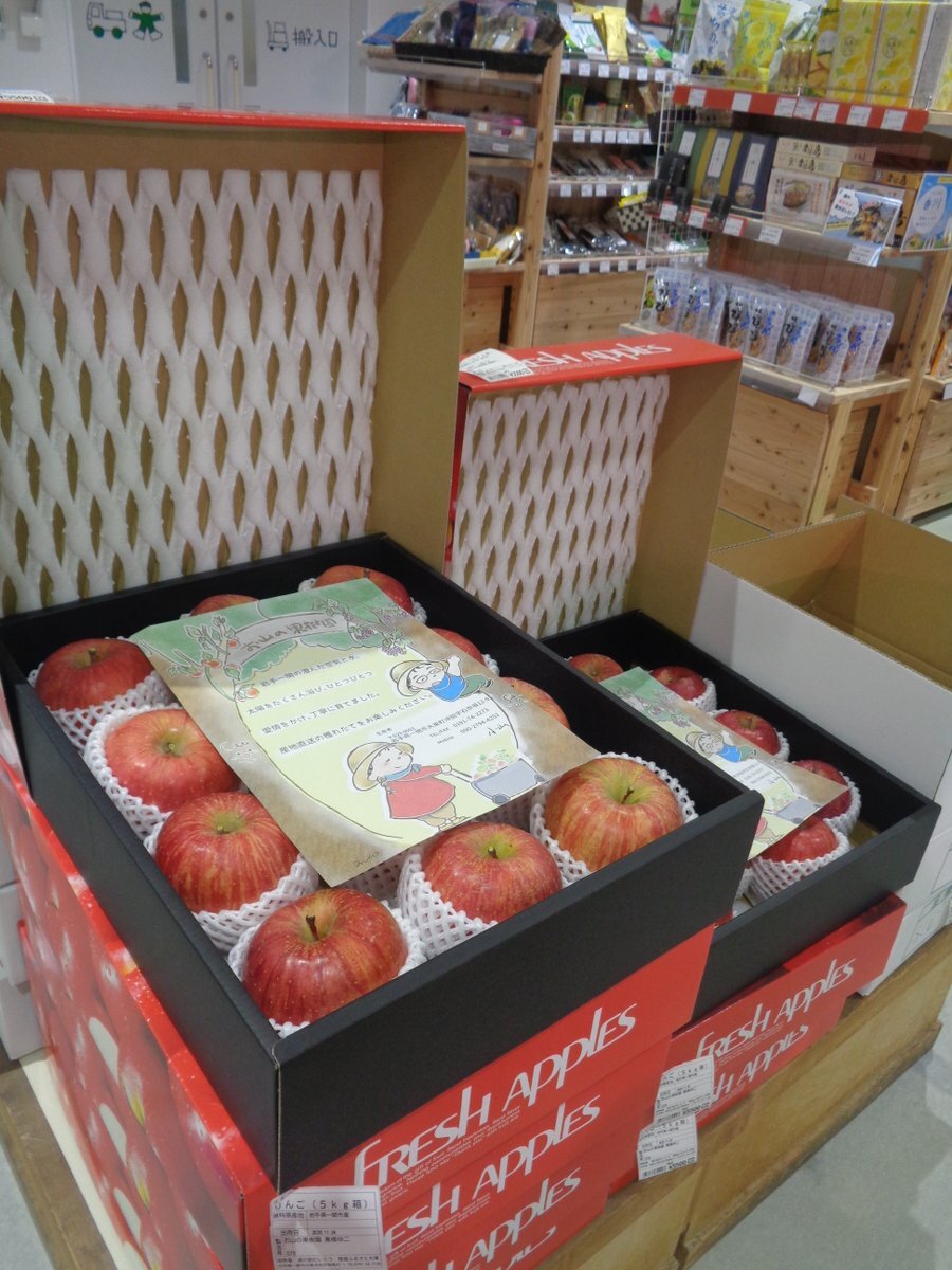 「働きたくない」 現代社会の労働に対する複雑な感情