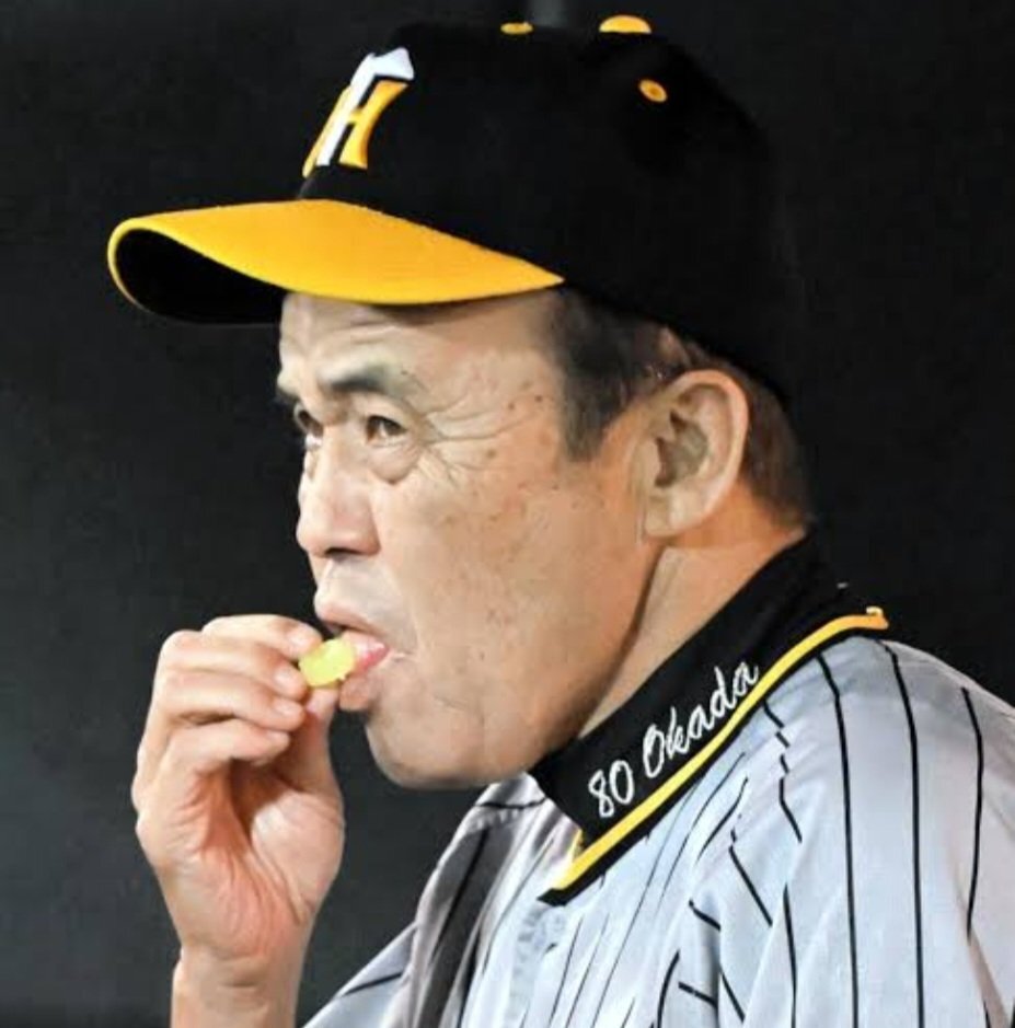 流行り の ブランド  日本野球機構『阪神タイガース 監督』」のX（旧Twitter une617 ルアー・フライ