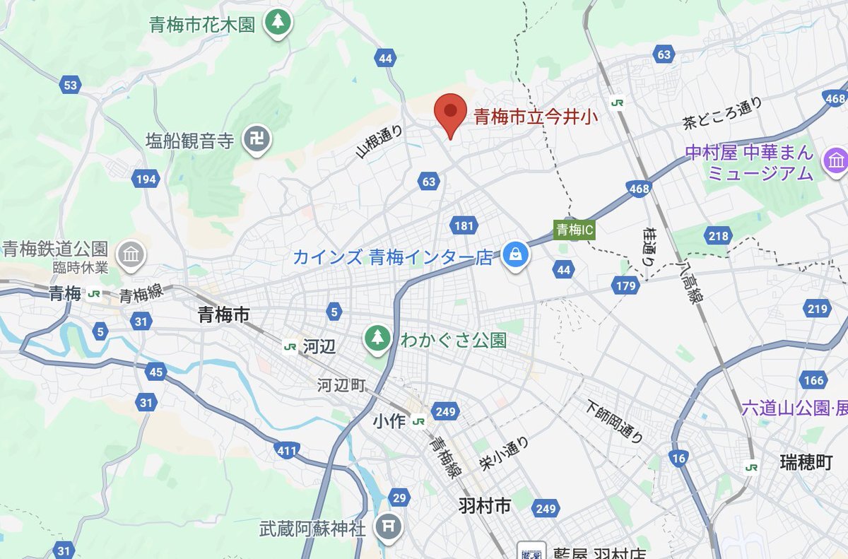東京・青梅の小学校で児童22人がハチに刺される