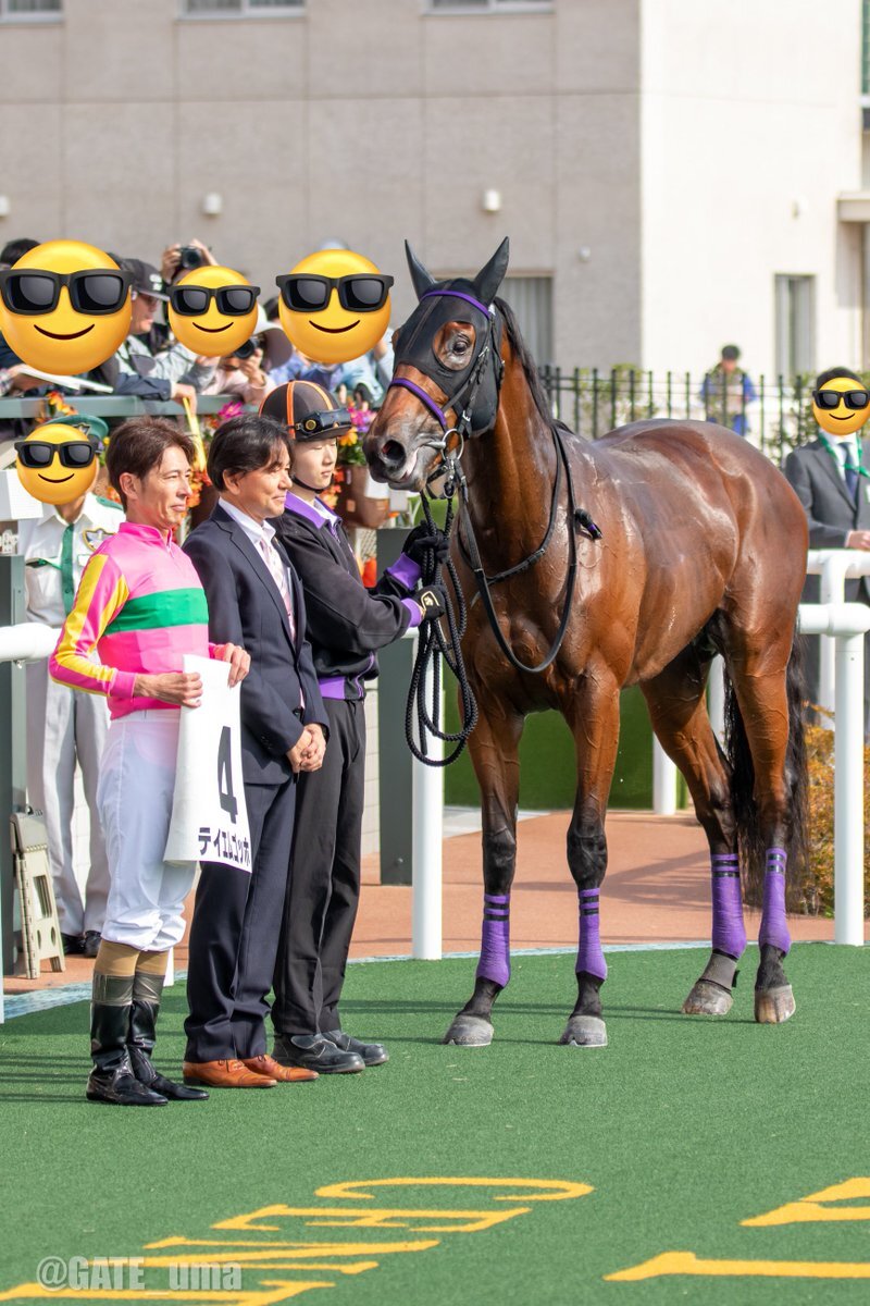 テイエムゴッホが逃げ切り勝利！ 競馬ファンを沸かせたレースとは？