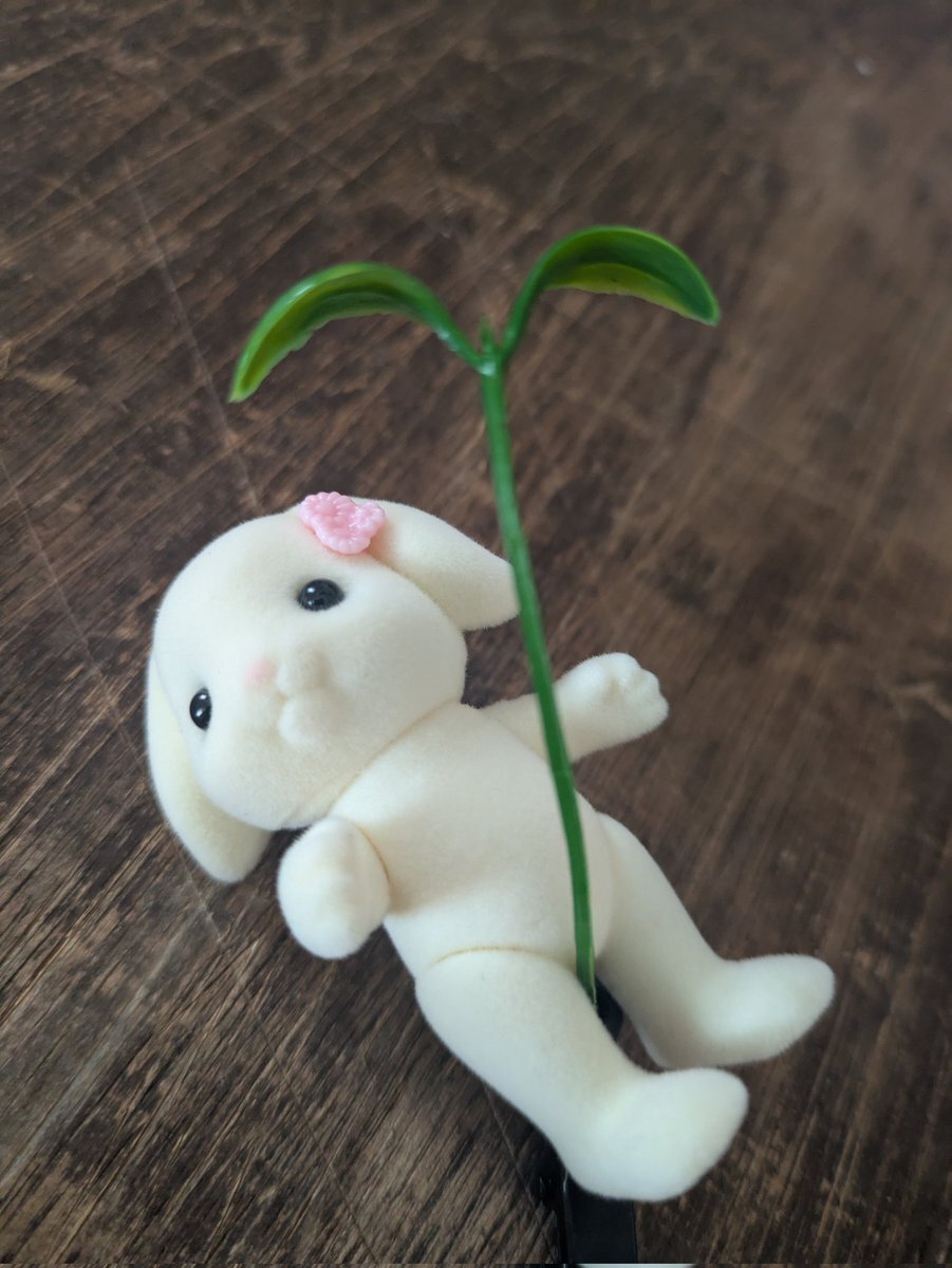 シルバニア好き ept0504015614.jpg