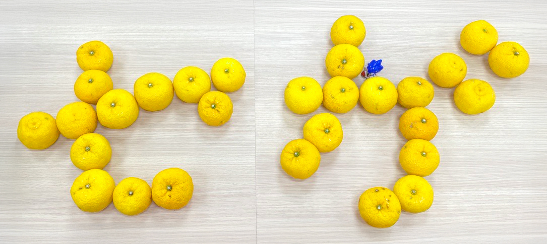 冬至到来！ ゆず湯とカボチャで健康祈願