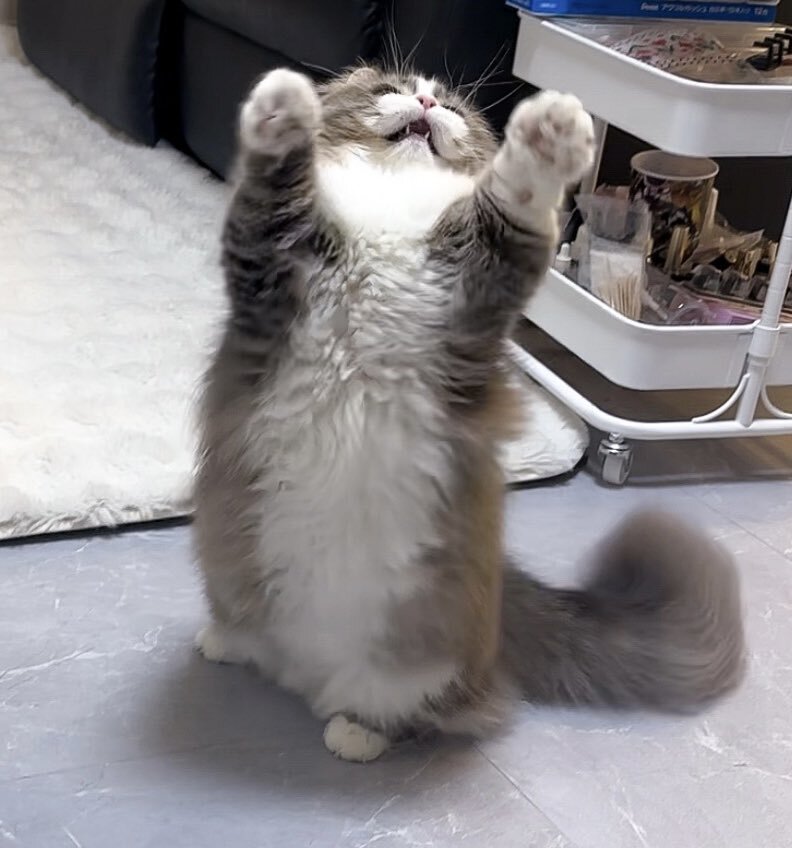 みいちゃん」のYahoo!リアルタイム検索 - X（旧Twitter）を