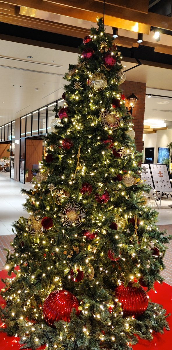 Travis Japan 松松、ONE MORNINGにメッセージ出演！リスナー歓喜