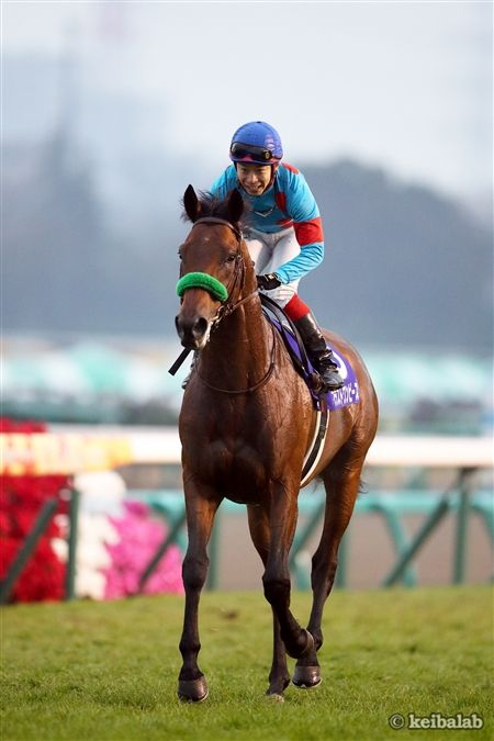 ブラストワンピースの2018年有馬記念優勝を振り返る