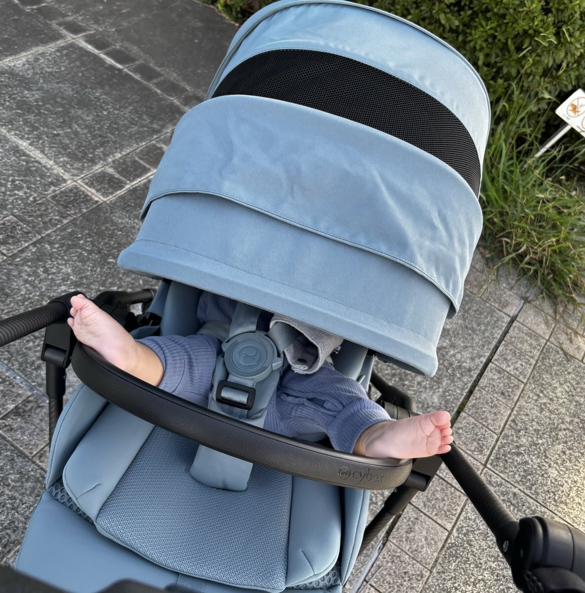 オルフェーヴルさま確認ページ♡ オルフェーヴル」のYahoo!リアルタイム検索 - X（旧Twitter）を