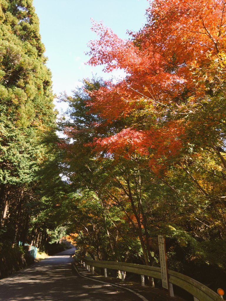 月曜日の朝、SNS上ではどんな声が上がっている？