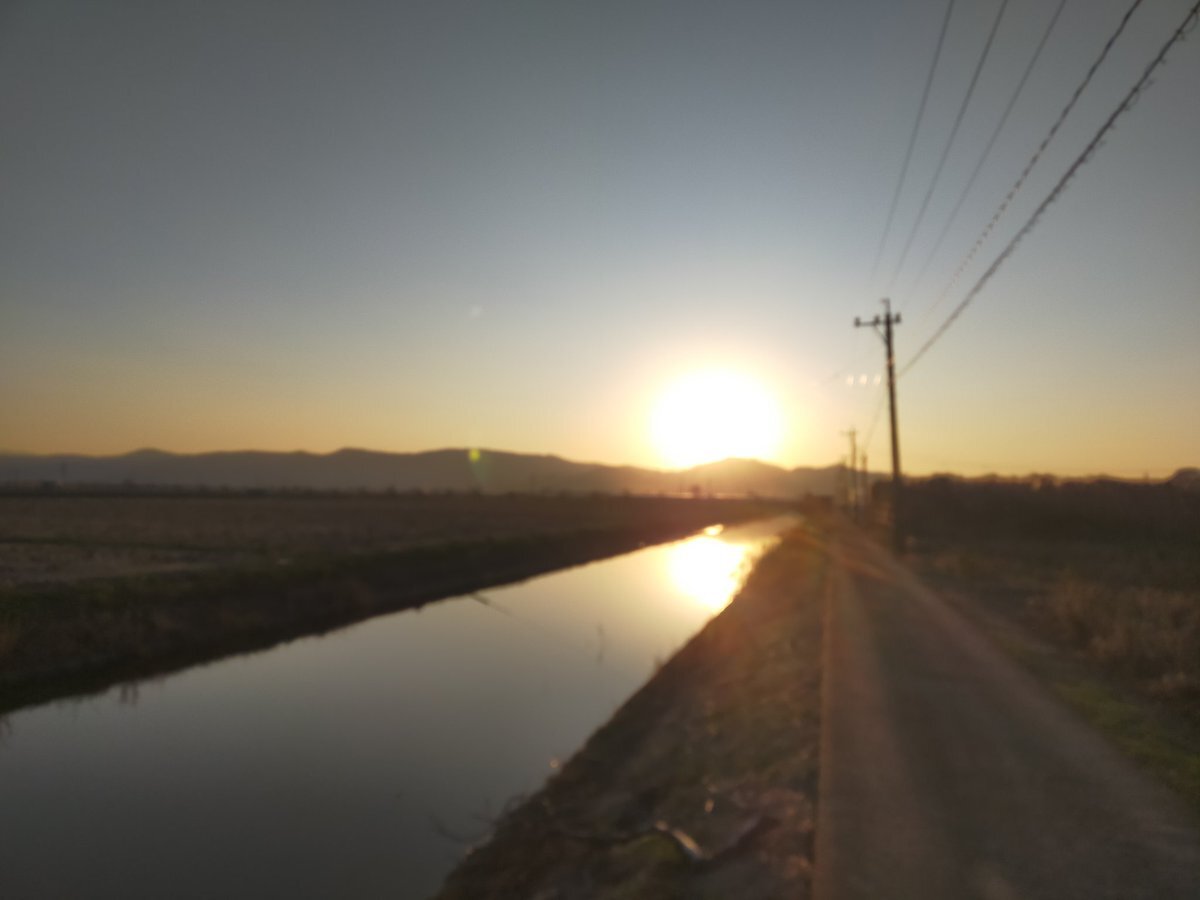 日曜日の過ごし方は？