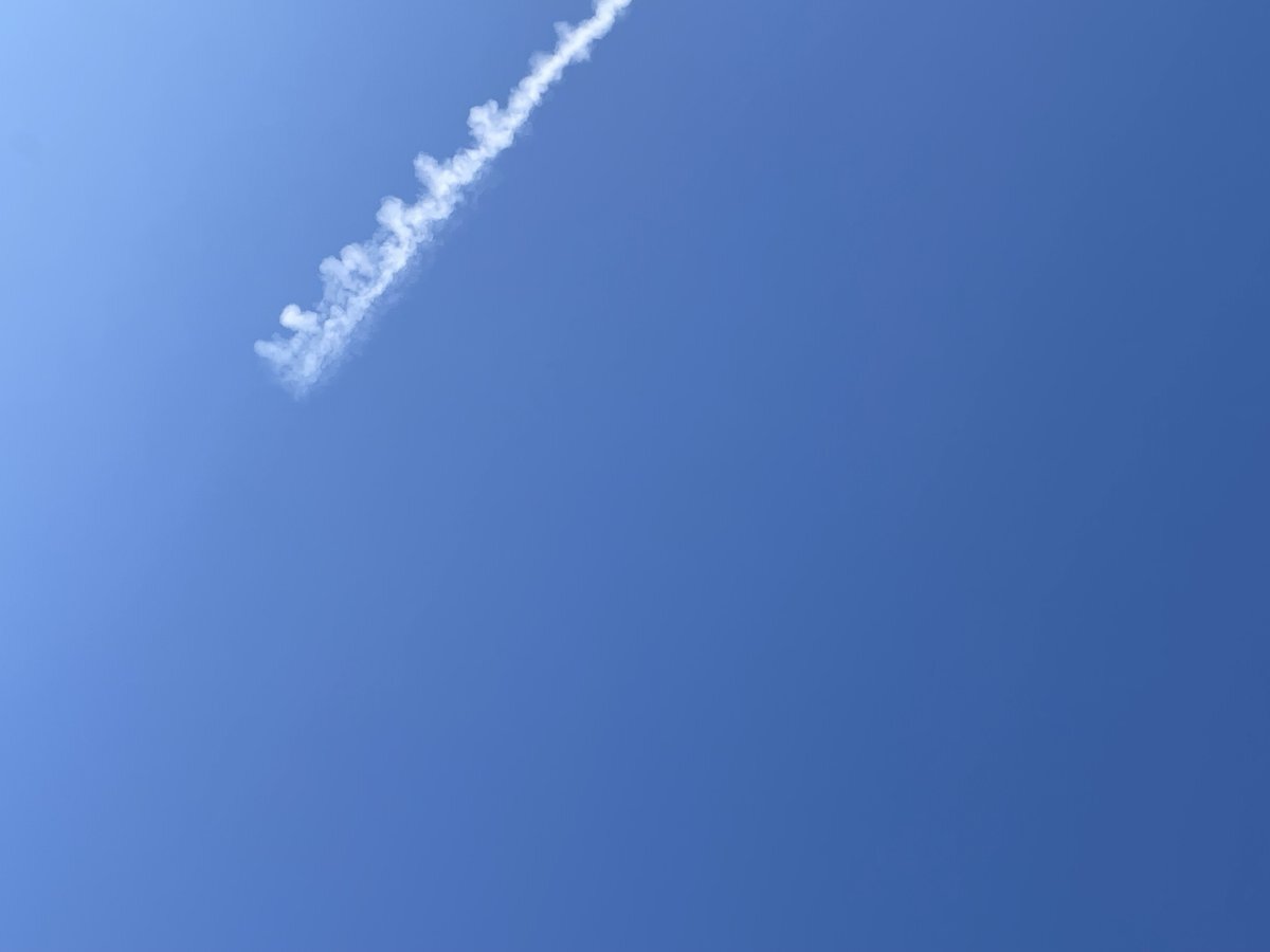 横浜スタジアムの「横浜ブルー」がファンを魅了！