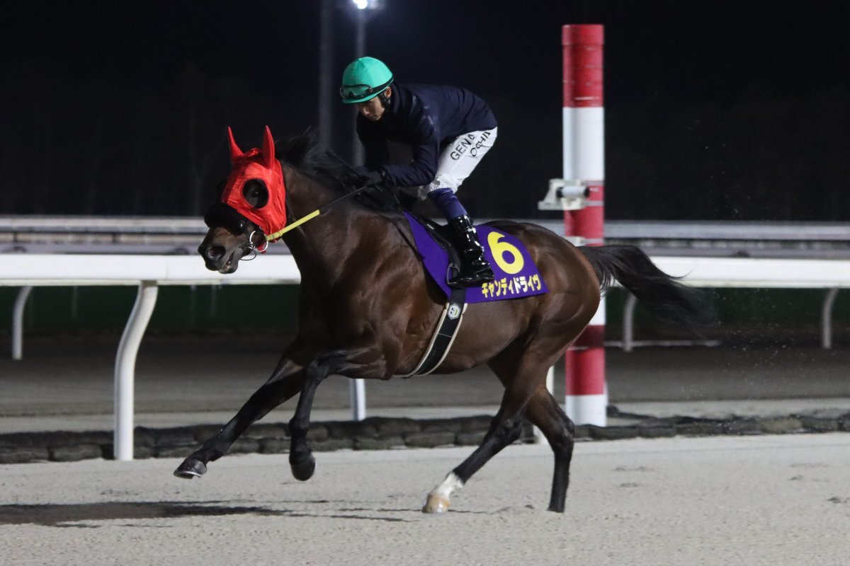 落合玄太騎手、中山1Rで3着！カペラSも期待