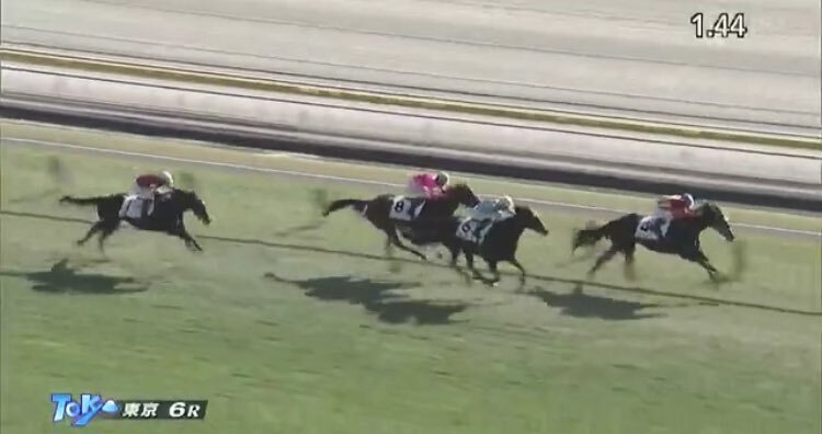 バステール2着！ゴーラッキーが新馬戦制覇！ 