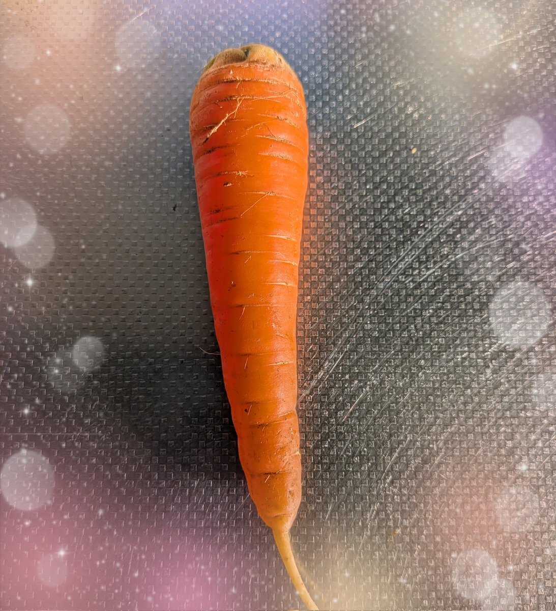 濵田崇裕、旅サラダで黒田五寸人参に感動！視聴者も「食べたい」の声