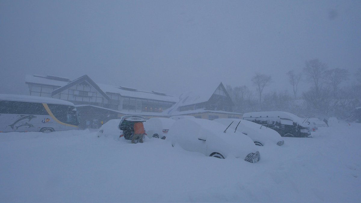 酸ヶ湯、史上最速で積雪1mを記録！