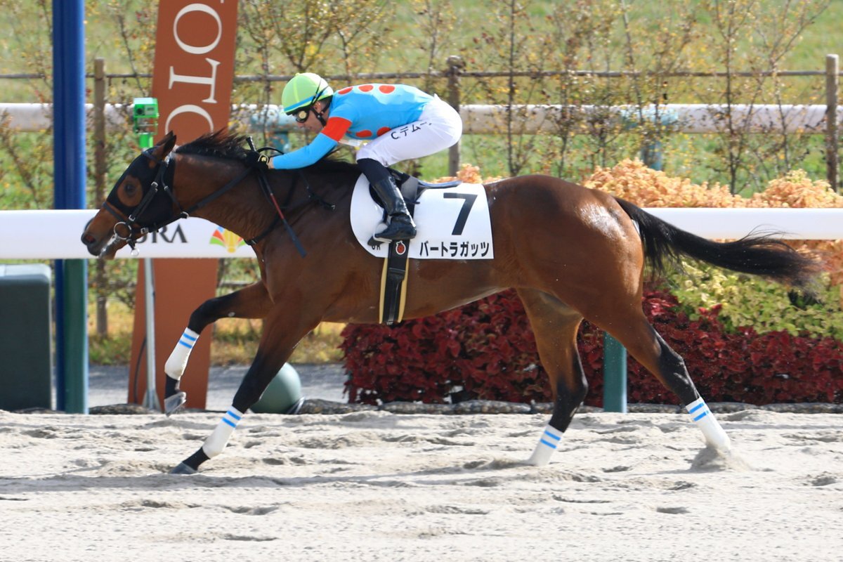 エンブロイダリーの弟、バートラガッツがデビュー戦を制す！ 