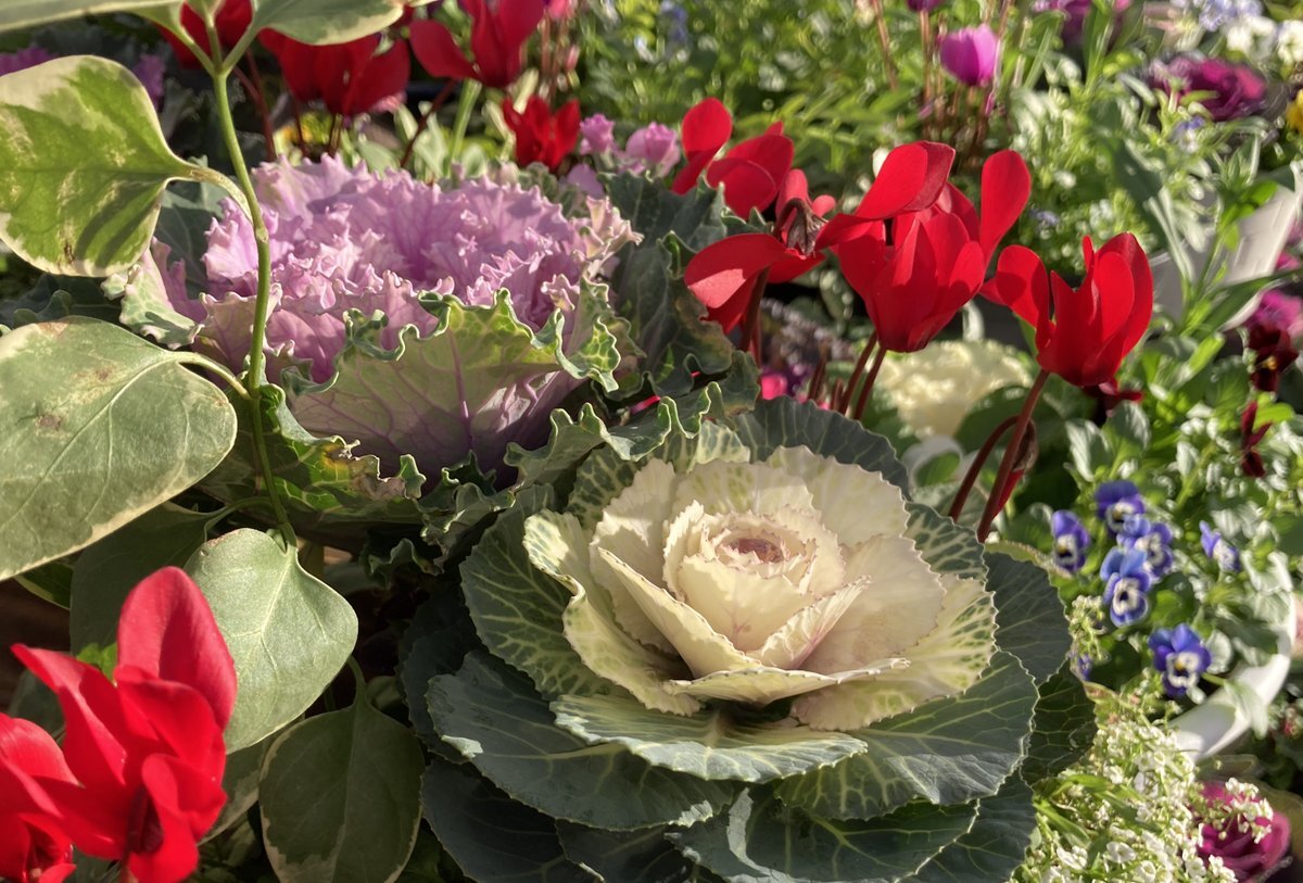 ジェネリック医薬品の日、12月22日に誕生秘話と感謝の声