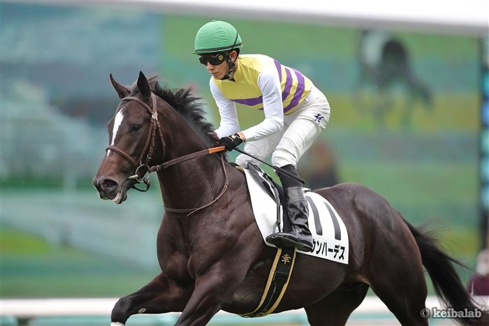 天皇賞・秋、豪華メンバーが出走！