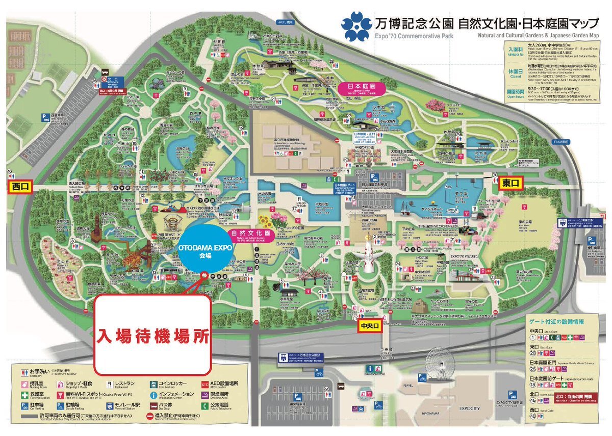 万博記念公園 もみじ川芝生広場」のYahoo!リアルタイム検索 - X（旧