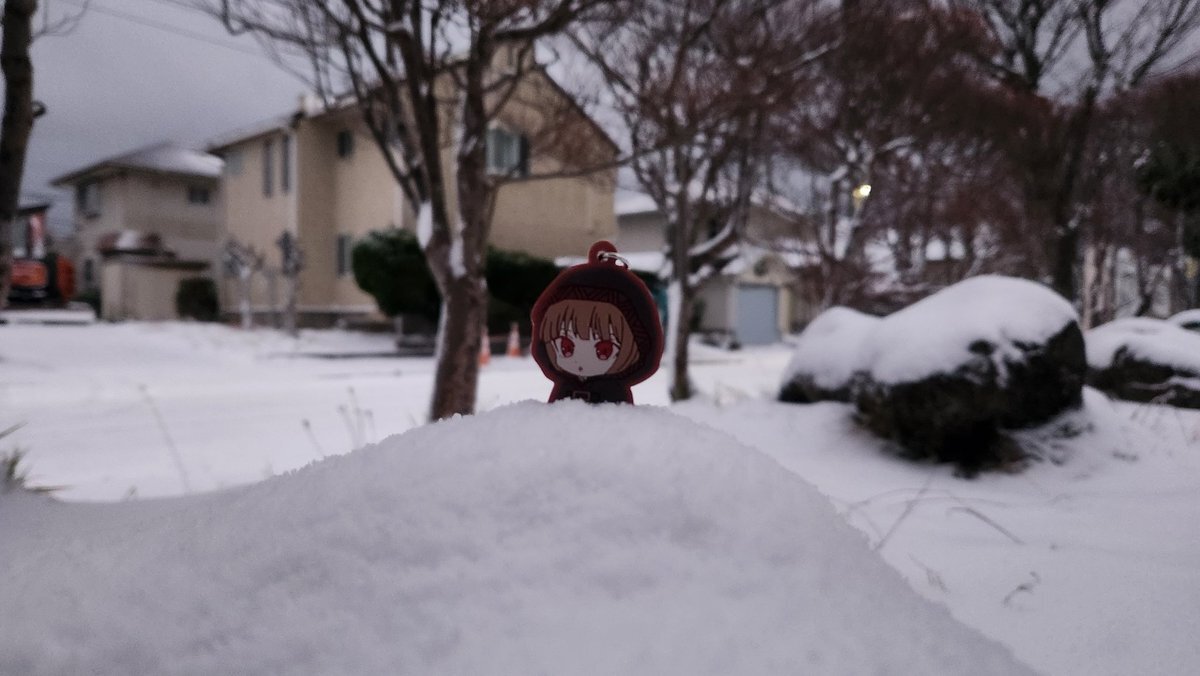 初雪に驚き！SNSで「タイヤ交換してない…」の声も