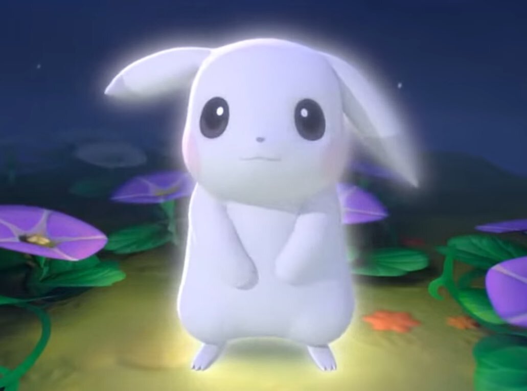 ぽこあポケモン、新ポケモンの姿は？