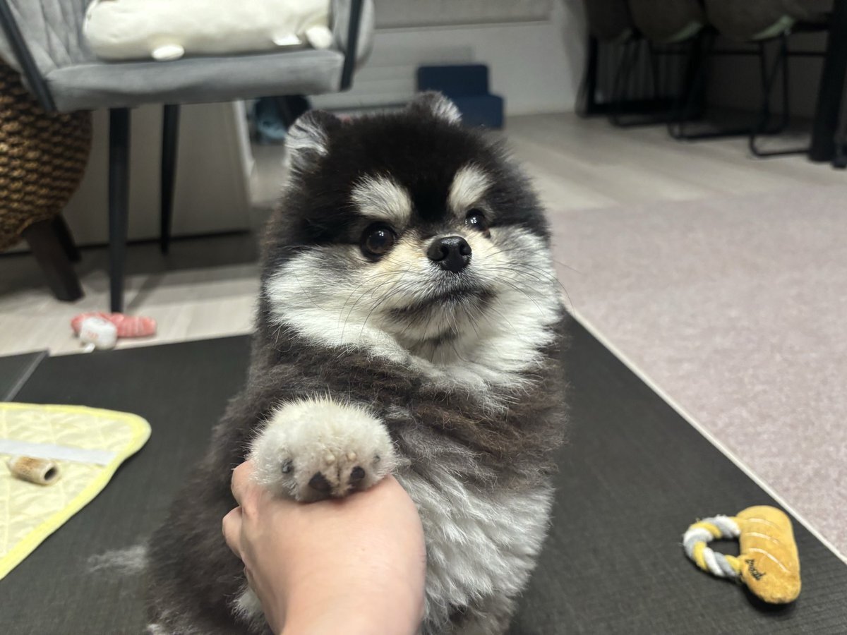 ルンルンさま確認ページ♡ ルンルン｜にじさんじオフィシャルストア