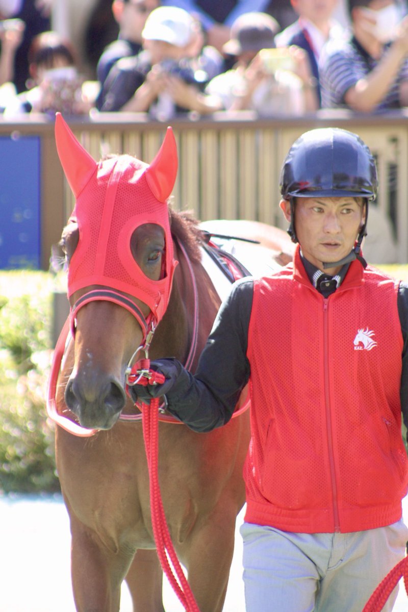 まめちゃん まめちゃん」のYahoo!リアルタイム検索 - X（旧Twitter）を