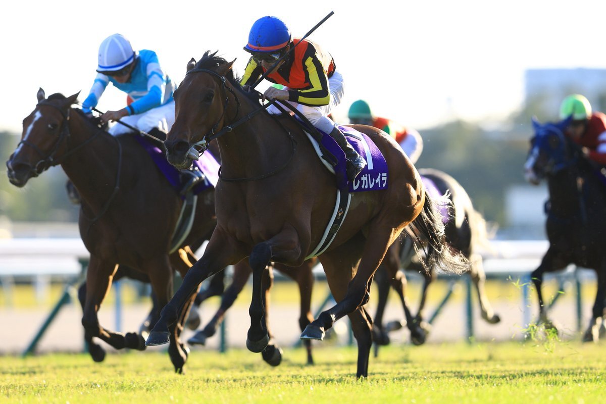 レガレイラ、有馬記念ファン投票で歴代最多得票！クロワデュノールは2位