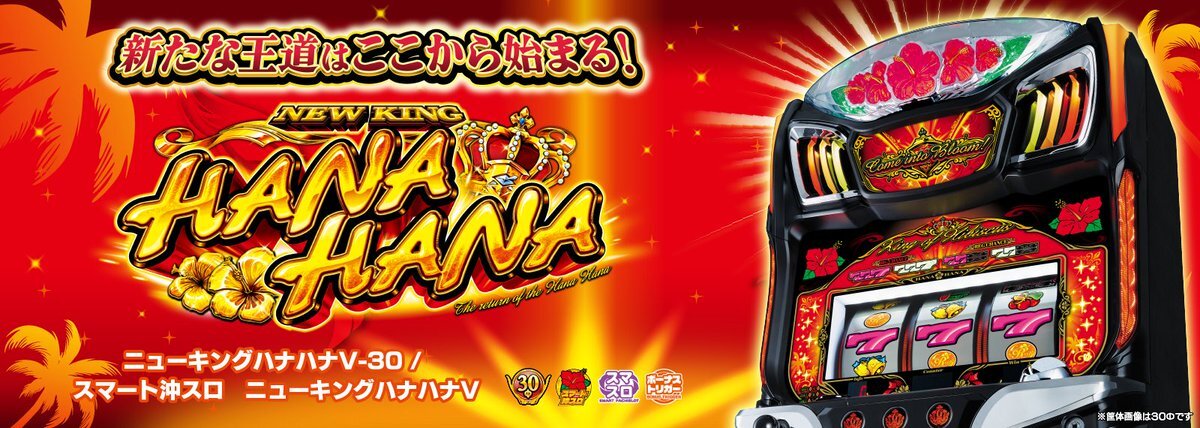 ニューキングハナハナV、どんな機種？